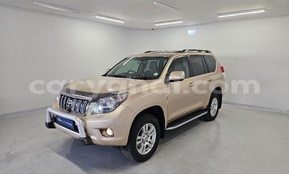 Nunua Ilio tumika Toyota Land Cruiser Prado Nyingine Gari ndani ya Lusaka nchini Zambia Nunua Ilio tumika Toyota Land Cruiser Prado Nyingine Gari ndani ya Lusaka nchini Zambia