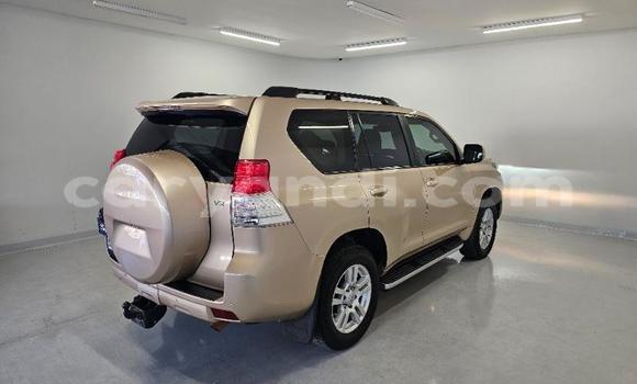 Nunua Ilio tumika Toyota Land Cruiser Prado Nyingine Gari ndani ya Lusaka nchini Zambia Nunua Ilio tumika Toyota Land Cruiser Prado Nyingine Gari ndani ya Lusaka nchini Zambia