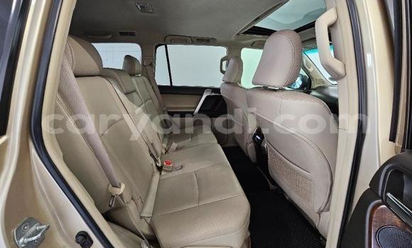 Nunua Ilio tumika Toyota Land Cruiser Prado Nyingine Gari ndani ya Lusaka nchini Zambia Nunua Ilio tumika Toyota Land Cruiser Prado Nyingine Gari ndani ya Lusaka nchini Zambia