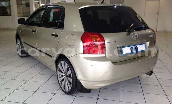 Tenga Tsaru Toyota Runx Sirivha Mota in Livingstone in Zambia Tenga Tsaru Toyota Runx Sirivha Mota in Livingstone in Zambia