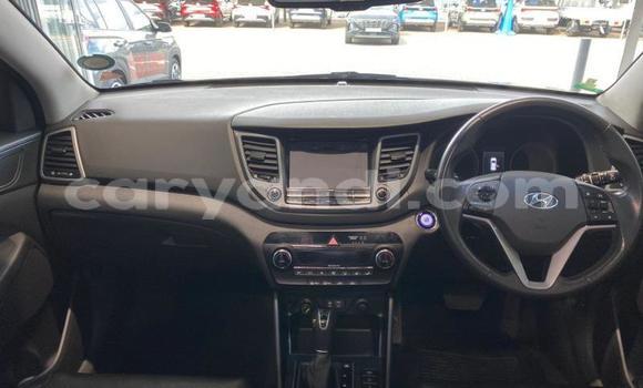 Nunua Ilio tumika Hyundai Tucson Nyeupe Gari ndani ya Livingstone nchini Zambia Nunua Ilio tumika Hyundai Tucson Nyeupe Gari ndani ya Livingstone nchini Zambia