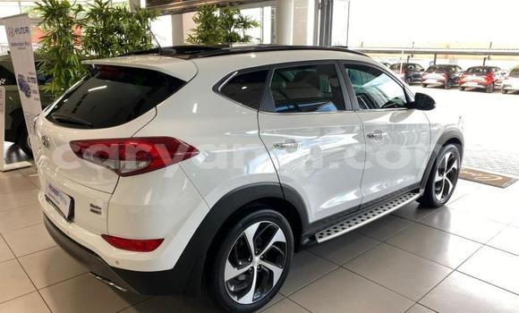 Nunua Ilio tumika Hyundai Tucson Nyeupe Gari ndani ya Livingstone nchini Zambia Nunua Ilio tumika Hyundai Tucson Nyeupe Gari ndani ya Livingstone nchini Zambia