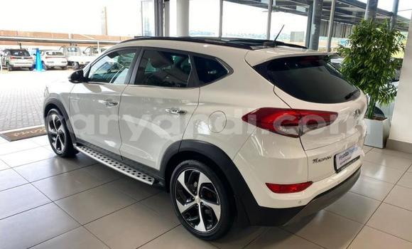 Nunua Ilio tumika Hyundai Tucson Nyeupe Gari ndani ya Livingstone nchini Zambia Nunua Ilio tumika Hyundai Tucson Nyeupe Gari ndani ya Livingstone nchini Zambia