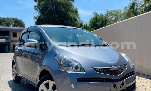 Buy New Toyota Ractis Other Car in Lusaka in Zambia Buy New Toyota Ractis Other Car in Lusaka in Zambia