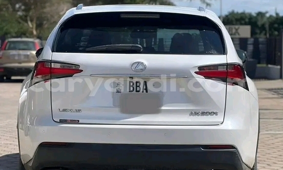 Tenga Tsaru Lexus NX Chena Mota in Import - Dubai in Zambia Tenga Tsaru Lexus NX Chena Mota in Import - Dubai in Zambia