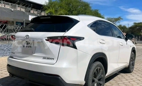 Tenga Tsaru Lexus NX Chena Mota in Import - Dubai in Zambia Tenga Tsaru Lexus NX Chena Mota in Import - Dubai in Zambia