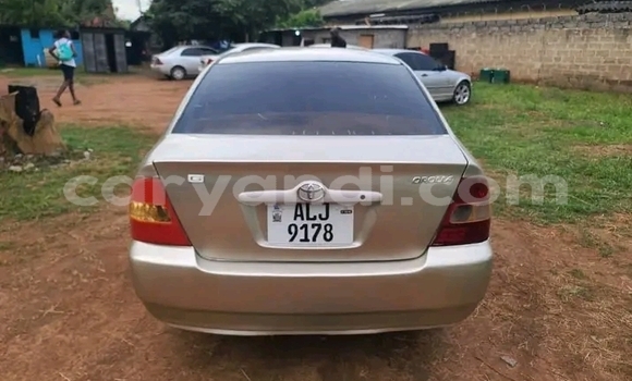 Tenga Tsaru Toyota Corolla Zvimwe Mota in Lusaka in Zambia Tenga Tsaru Toyota Corolla Zvimwe Mota in Lusaka in Zambia