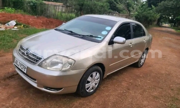 Tenga Tsaru Toyota Corolla Zvimwe Mota in Lusaka in Zambia Tenga Tsaru Toyota Corolla Zvimwe Mota in Lusaka in Zambia