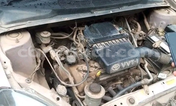 Buy Used Toyota Vitz Other Car in Kapiri Mposhi in Central Buy Used Toyota Vitz Other Car in Kapiri Mposhi in Central