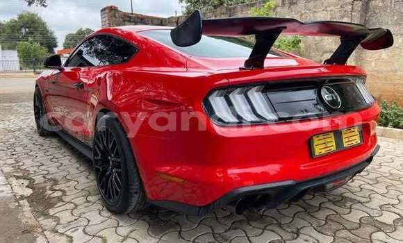 Acheter Occasion Voiture Ford Mustang Autre à Lusaka, Zambie Acheter Occasion Voiture Ford Mustang Autre à Lusaka, Zambie