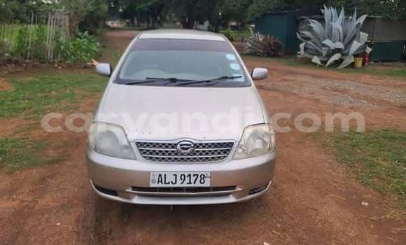 Buy Used Toyota IST Other Car in Lusaka in Zambia