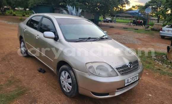 Buy Used Toyota IST Other Car in Lusaka in Zambia Buy Used Toyota IST Other Car in Lusaka in Zambia