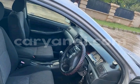 Buy Used Toyota Runx Other Car in Katete in Eastern Buy Used Toyota Runx Other Car in Katete in Eastern