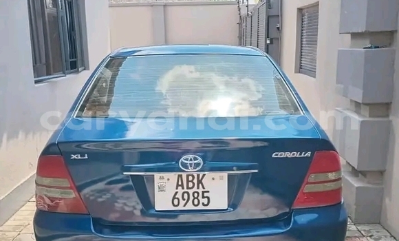 Tenga Tsaru Toyota Corolla Bhuruu Mota in Chipata in Zambia