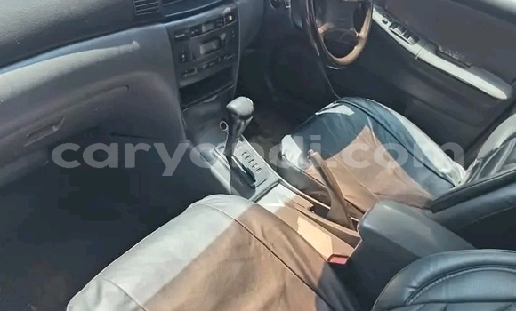 Buy Used Toyota Corolla Blue Car in Chipata in Zambia Buy Used Toyota Corolla Blue Car in Chipata in Zambia