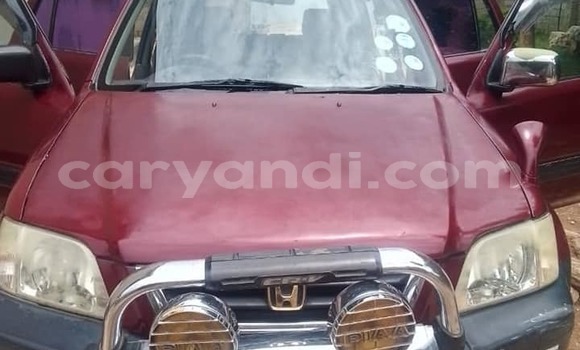 Cars for sale in zambia - caryandi