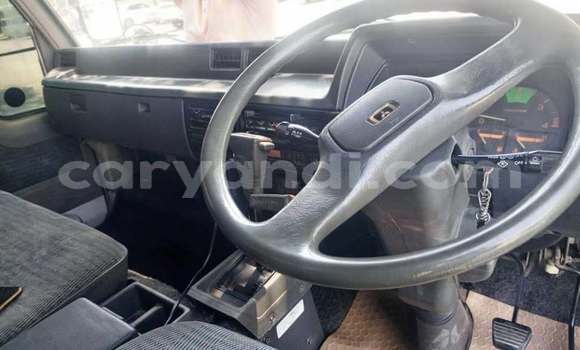 Tenga Tsaru Mitsubishi Canter Chena Rori in Lusaka in Zambia Tenga Tsaru Mitsubishi Canter Chena Rori in Lusaka in Zambia