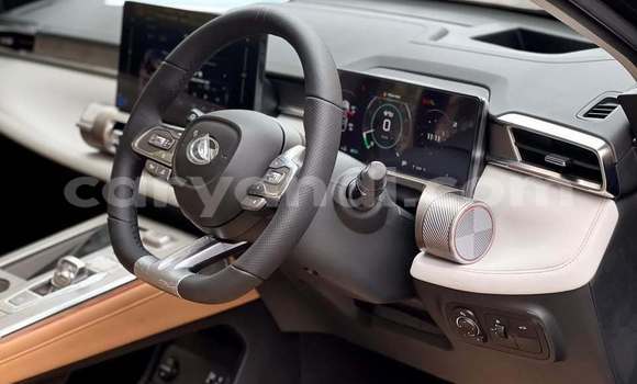 Buy Used GAC Trumpchi GS8 Black Car in Lusaka in Zambia Buy Used GAC Trumpchi GS8 Black Car in Lusaka in Zambia