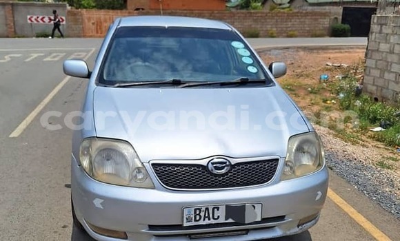 Buy Used Toyota Runx Other Car in Lusaka in Zambia