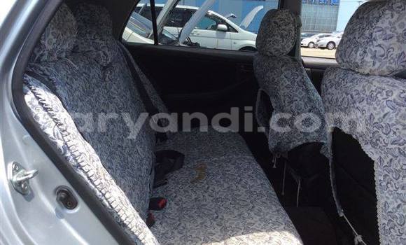 Tenga Tsaru Toyota 4Runner Sirivha Mota in Chingola in Zambia Tenga Tsaru Toyota 4Runner Sirivha Mota in Chingola in Zambia