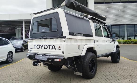 Tenga Tsaru Toyota Land Cruiser Beige Mota in Lusaka in Zambia Tenga Tsaru Toyota Land Cruiser Beige Mota in Lusaka in Zambia