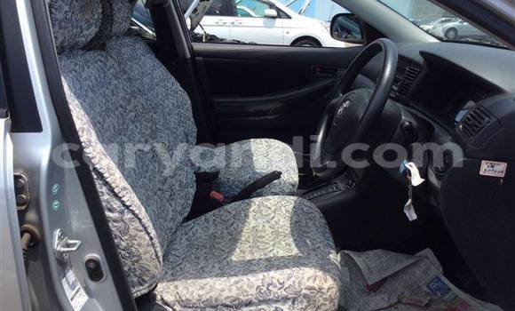 Tenga Tsaru Toyota 4Runner Sirivha Mota in Chingola in Zambia Tenga Tsaru Toyota 4Runner Sirivha Mota in Chingola in Zambia