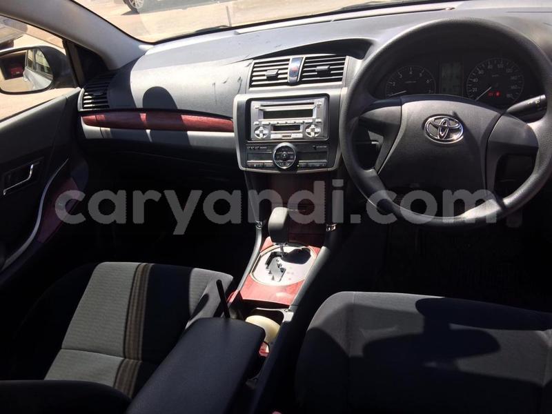 Big with watermark c9fe1f3d 6e19 4fb1 a391 3002f39c67f3