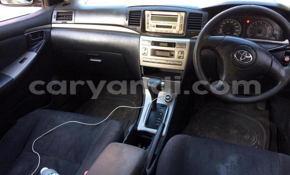 Buy Used Toyota Runx Black Car in Lusaka in Zambia Buy Used Toyota Runx Black Car in Lusaka in Zambia