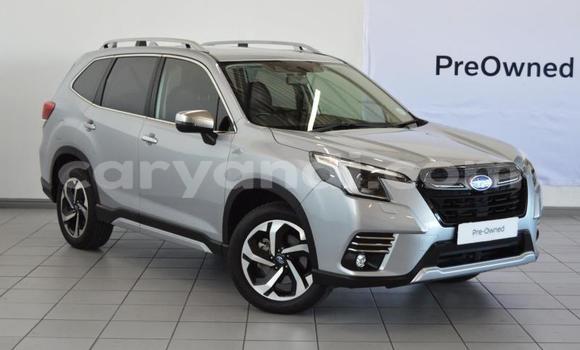 Buy Used Subaru Forester Silver Car in Lusaka in Zambia