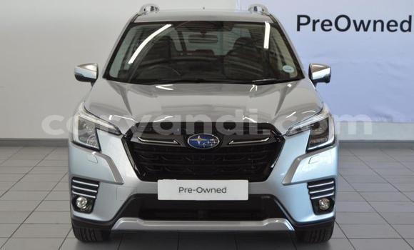 Buy Used Subaru Forester Silver Car in Lusaka in Zambia Buy Used Subaru Forester Silver Car in Lusaka in Zambia