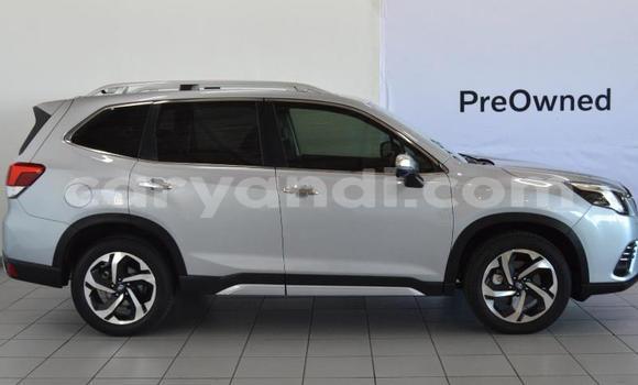 Buy Used Subaru Forester Silver Car in Lusaka in Zambia Buy Used Subaru Forester Silver Car in Lusaka in Zambia