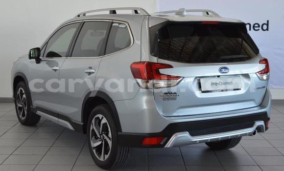Buy Used Subaru Forester Silver Car in Lusaka in Zambia Buy Used Subaru Forester Silver Car in Lusaka in Zambia
