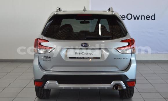 Buy Used Subaru Forester Silver Car in Lusaka in Zambia Buy Used Subaru Forester Silver Car in Lusaka in Zambia