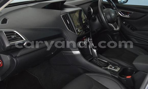 Buy Used Subaru Forester Silver Car in Lusaka in Zambia Buy Used Subaru Forester Silver Car in Lusaka in Zambia