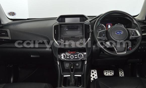 Buy Used Subaru Forester Silver Car in Lusaka in Zambia Buy Used Subaru Forester Silver Car in Lusaka in Zambia