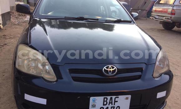 Buy Used Toyota Runx Black Car in Lusaka in Zambia Buy Used Toyota Runx Black Car in Lusaka in Zambia