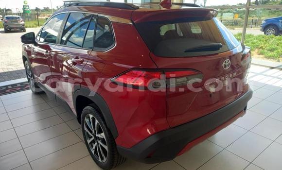 Tenga Tsaru Toyota Corolla Cross Zvimwe Mota in Lusaka in Zambia Tenga Tsaru Toyota Corolla Cross Zvimwe Mota in Lusaka in Zambia