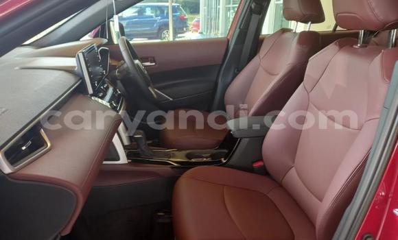 Tenga Tsaru Toyota Corolla Cross Zvimwe Mota in Lusaka in Zambia Tenga Tsaru Toyota Corolla Cross Zvimwe Mota in Lusaka in Zambia