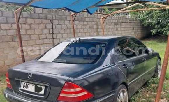 Tenga Tsaru Mercedes-Benz C-Classe Zvimwe Mota in Lusaka in Zambia Tenga Tsaru Mercedes-Benz C-Classe Zvimwe Mota in Lusaka in Zambia