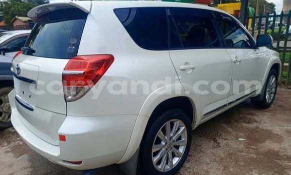 Buy Used Toyota Vanguard Other Car in Lusaka in Zambia Buy Used Toyota Vanguard Other Car in Lusaka in Zambia