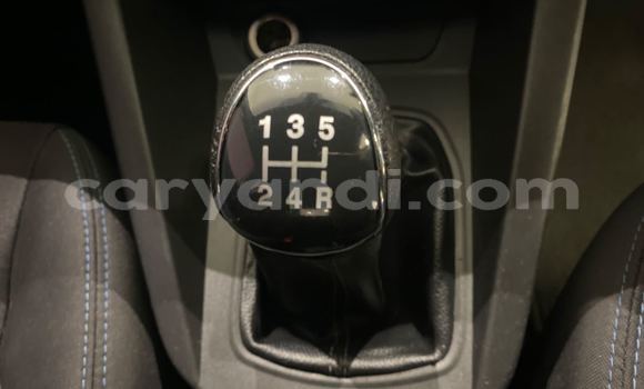 Tenga Tsaru Ford Fiesta Chena Mota in Lusaka in Zambia Tenga Tsaru Ford Fiesta Chena Mota in Lusaka in Zambia