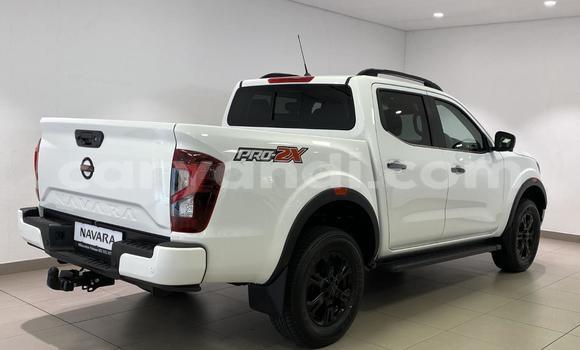 Buy Used Nissan Navara White Car in Lusaka in Zambia Buy Used Nissan Navara White Car in Lusaka in Zambia