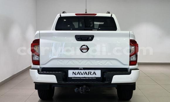 Buy Used Nissan Navara White Car in Lusaka in Zambia Buy Used Nissan Navara White Car in Lusaka in Zambia