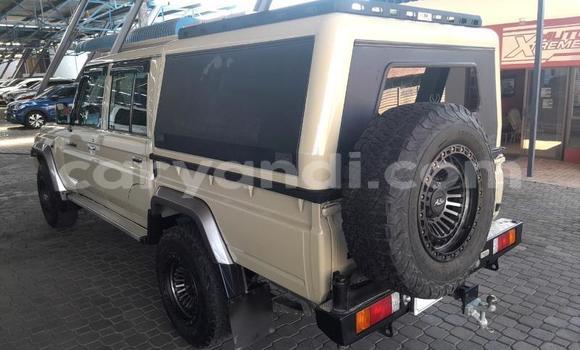 Nunua Ilio tumika Toyota Land Cruiser Nyingine Gari ndani ya Solwezi nchini Kaskazini-Magharibi Nunua Ilio tumika Toyota Land Cruiser Nyingine Gari ndani ya Solwezi nchini Kaskazini-Magharibi
