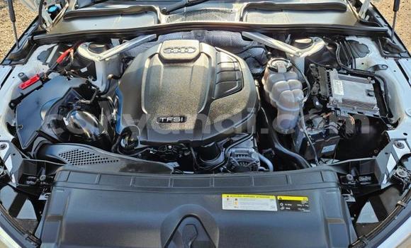 Tenga Tsaru Audi A4 Chena Mota in Lusaka in Zambia Tenga Tsaru Audi A4 Chena Mota in Lusaka in Zambia