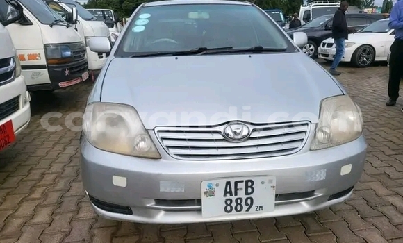 Acheter Occasion Voiture Toyota Runx Autre à Kalengwa, Nord-Ouest Acheter Occasion Voiture Toyota Runx Autre à Kalengwa, Nord-Ouest