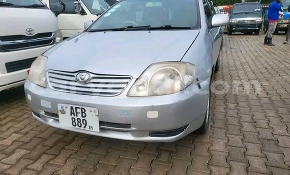 Acheter Occasion Voiture Toyota Runx Autre à Kalengwa, Nord-Ouest Acheter Occasion Voiture Toyota Runx Autre à Kalengwa, Nord-Ouest
