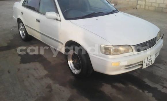 Tenga Tsaru Toyota Corolla Chena Mota in Lusaka in Zambia Tenga Tsaru Toyota Corolla Chena Mota in Lusaka in Zambia