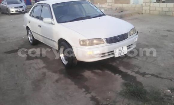 Tenga Tsaru Toyota Corolla Chena Mota in Lusaka in Zambia Tenga Tsaru Toyota Corolla Chena Mota in Lusaka in Zambia