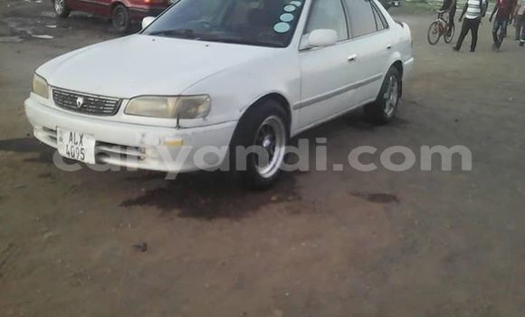 Tenga Tsaru Toyota Corolla Chena Mota in Lusaka in Zambia Tenga Tsaru Toyota Corolla Chena Mota in Lusaka in Zambia